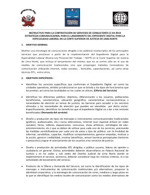 Fillable Online pmsj org INSTRUCTIVO PARA LA CONTRATACIN DE SERVICIOS ...