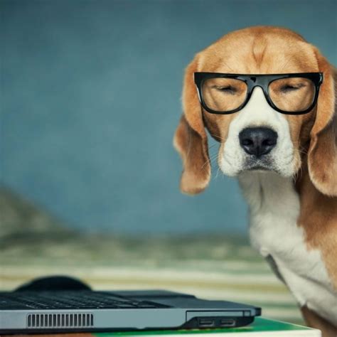 Image result for Taser Fail