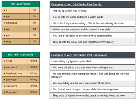 conjugation of verb bite - English Verbs Conjugation