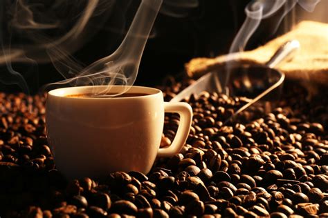 Image result for Oracle Java Price List