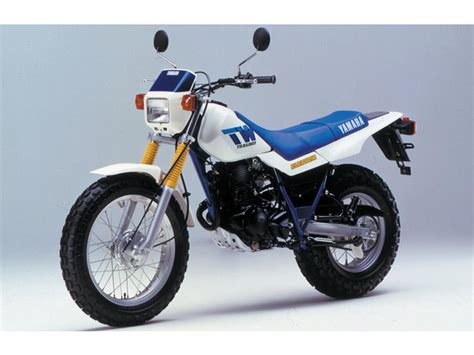 北海道 ビューティフルライフ キムタク ヤマハ TW200 DG07J スカチューン ロンスイ カスタム