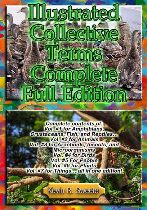 Illustrated Collective Terms Complete Full Edition: Complete Contents ...