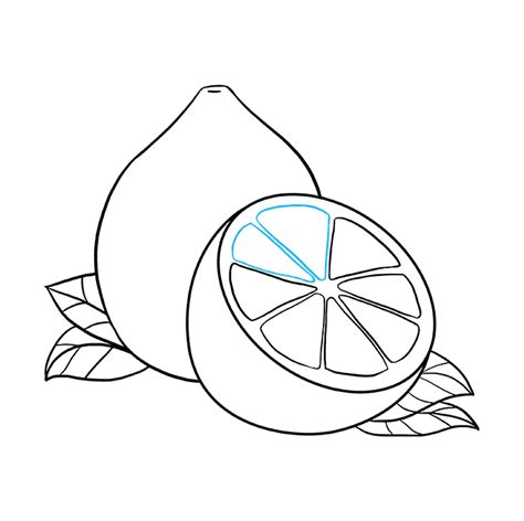 Image result for Simple Lemon Drawing