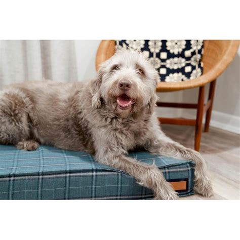 The Houndry Rectangular Peacock Pooch Sunbrella acrylic fabric Dog Bed ...