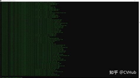 Install OpenCV in vs Code 的图像结果