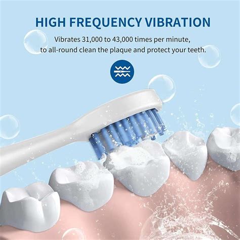 Orqra Gum Care Sonic Toothbrush with Soft Replaceable Heads Electric ...