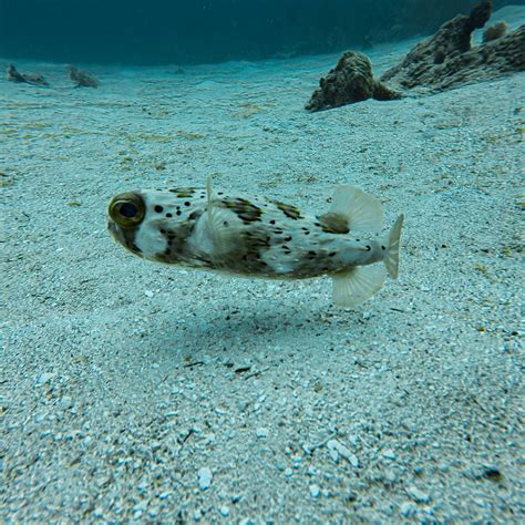 LANKAST EXPERIENCES (2025) All You Need to Know BEFORE You Go (with ...