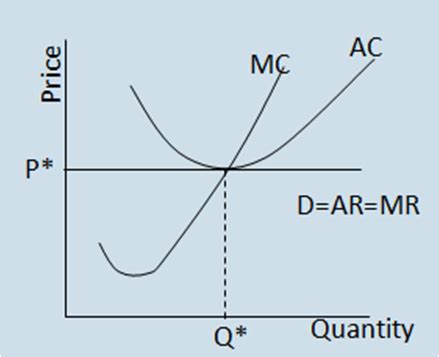 Perfect competition and why it issues - India Dictionary