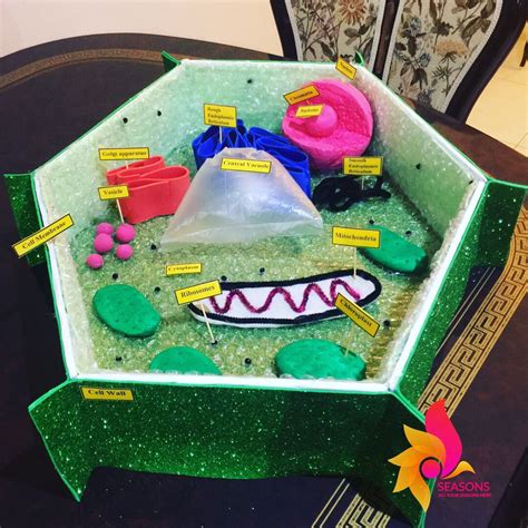 Image result for Cell Model Project