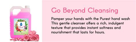 Purest Liquid Hand wash for Bacteria And Germ Protection With ...