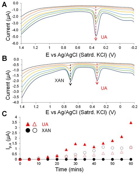 Mechanistic Elucidation of Nanomaterial-Enhanced First-Generation ...
