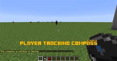 Image result for How to Make a Compass Track a Player 1.16.4 Java