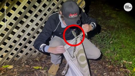 Cool Python Catching 的图像结果