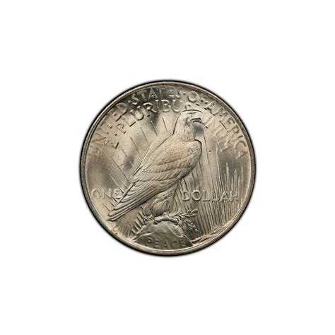 U.S. Peace Silver Dollar (1922-1926) // Mint State Condition ...