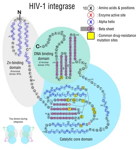 The Effect of Treatment-Associated Mutations on HIV Replication and ...