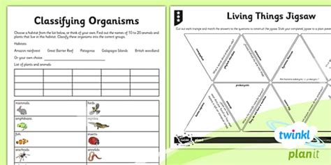 Science: Living Things and Their Habitats Year 6 Home Learning Tasks