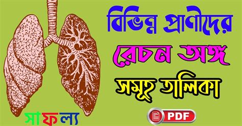 বিভিন্ন প্রাণীদের রেচন অঙ্গ তালিকা PDF - List of Excretory Organs of ...