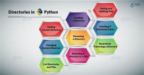 Python Creating Same Directory 的图像结果