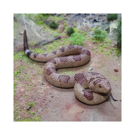 SIENON Realistic Fake Snakes Toy Soft Rubber Snake | Ubuy India