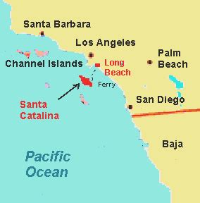 Image result for Axolotl Drawing Tutorial