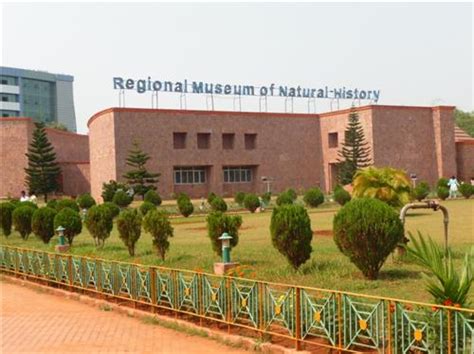 Regional Museum of Natural History Mysore, RMNH Mysore