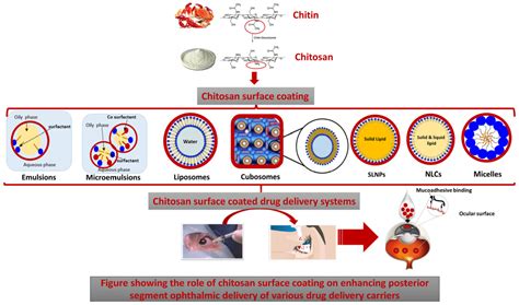 Posterior Segment Ophthalmic Drug Delivery: Role of Muco-Adhesion with ...
