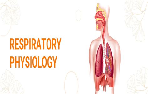 why-is-it-important-to-have-proper-transportation-of-carbon-dioxide-in ...