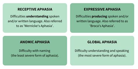 Severe Aphasia Example 的图像结果