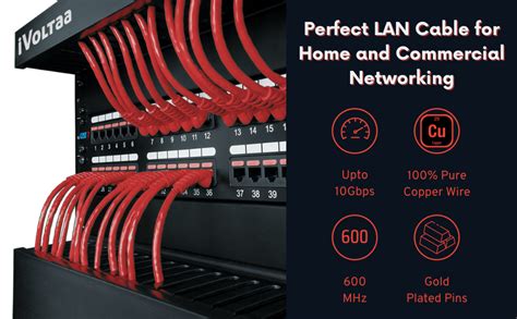 iVoltaa Ethernet Cable CAT7 Cable Dual Shielded+ (SSTP) Professional ...