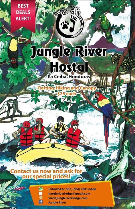 JUNGLE RIVER LODGE (La Ceiba) - Specialty Inn Reviews, Photos, Rate ...