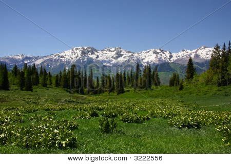 Image result for Mountian SpringSource