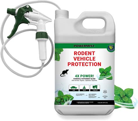 Amazon.com: Minty Insect & Pest Control, Powerful & Natural 5% ...