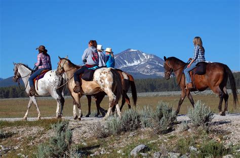 Image result for Native Cherokee