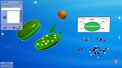 Plant 的图像结果
