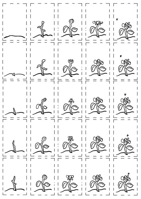 Image result for Flip Book Animation Tutorial