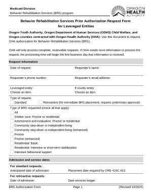 Behavior Rehabilitation Services Prior Authorization Request for ...