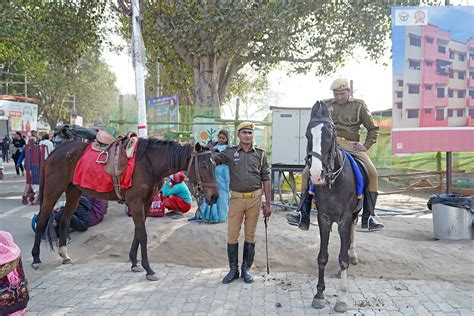 Press Information Bureau