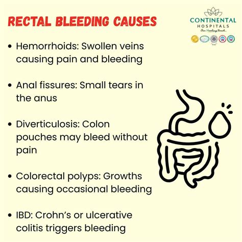 Common Causes of Rectal Bleeding Explained