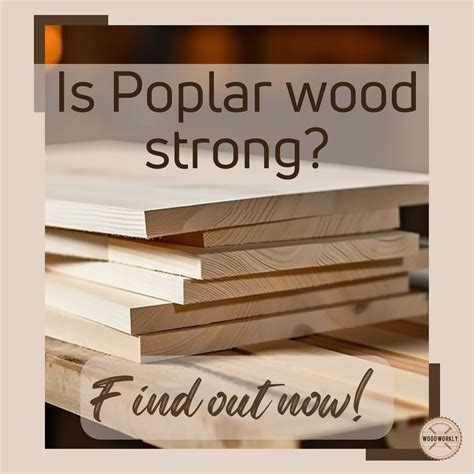 Is Poplar Wood Strong? Unmasking the Truth (Find Out Now!)
