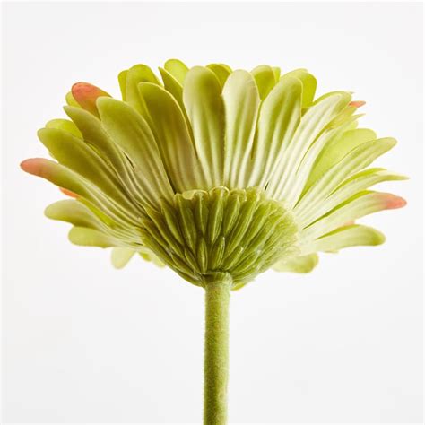 Buy Botanical Artificial Gerbera Daisy Flower Stick - 61cm from Home ...