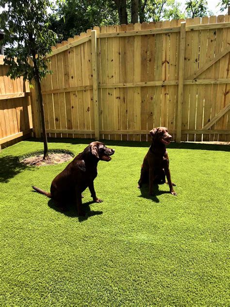 Artificial Grass for Dogs and Pets | Clean & Odor-Controlling | Goat Turf