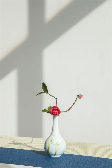 批发新款玻璃花瓶彩色喷色插干花瓶欧式花瓶水培富贵竹花器厂家-阿里巴巴
