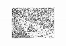 ausmalbilder herbst waldspaziergang malvorlage herbst waldspaziergang ausmalbild 9599 ausmalbilder herbst waldspaziergang malvorlage herbst waldspaziergang ausmalbild 9599