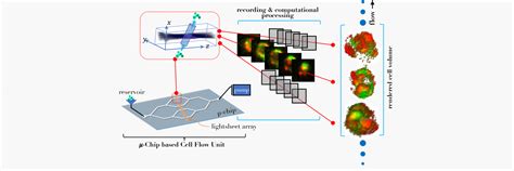 Indian Institute of Science