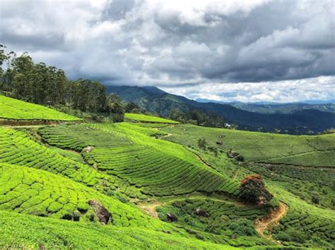 Countryside 的图像结果
