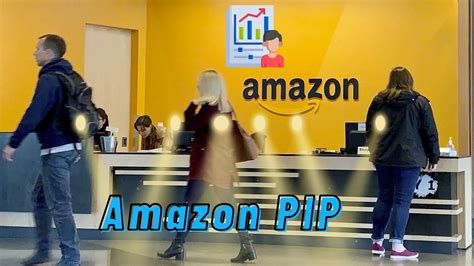Image result for Amazon Prime PIP Controls