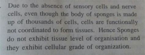 help me in answering this question - Brainly.in