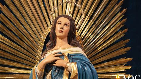 Solemnity Of The Immaculate Conception 2025 – HZVVND