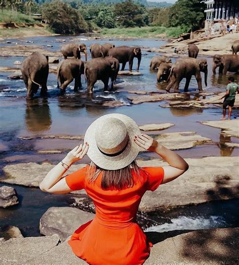 Sri Lanka 10 Days Tour with 4 Star Hotels and Private Transportation ...