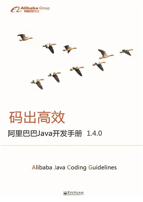 阿里巴巴java开发手册（2021版）泰山版 - 知乎